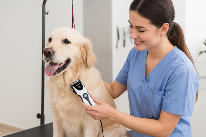 Grooming profesional con golden retriever