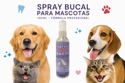 Spray Bucal - Showcase Profesional
